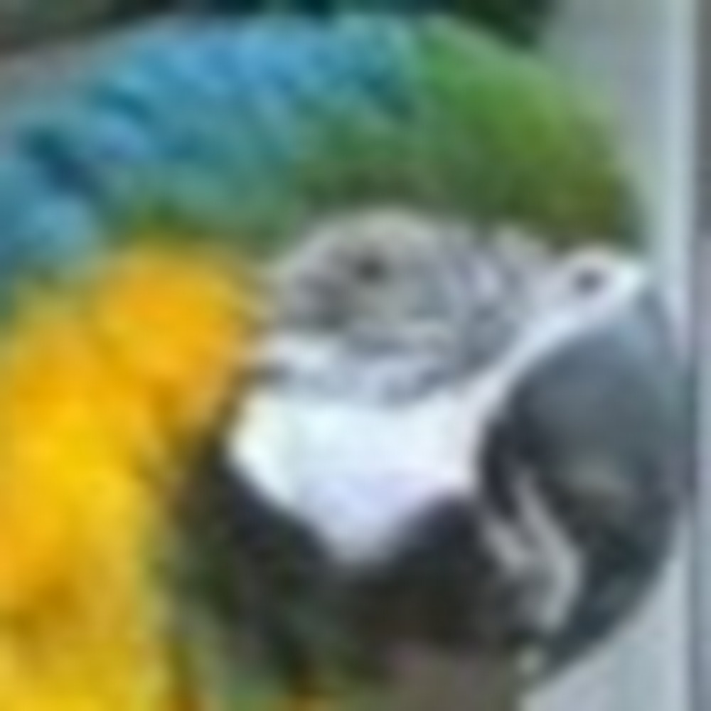 Meet your Posher, Claire